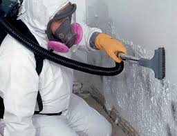 Best Comprehensive Air Testing for Mold Contaminants  in Pocono Woodland Lakes, PA